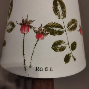 Lampa botaniczna KOLEKCJA ROSA / Owoce