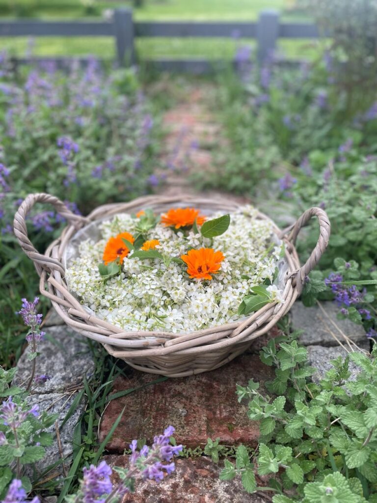 życie bliżej natury- ogród ziołowy -kosz z kwiatami czeremchy i nagietka