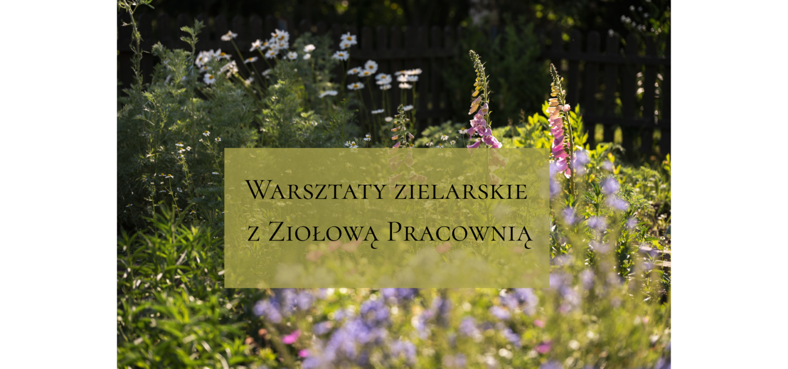 Warsztaty zielarskie z Ziołową Pracownią