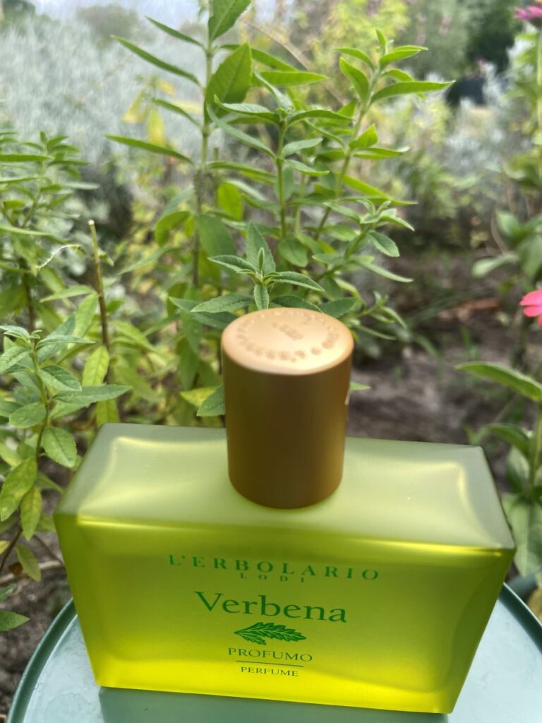 Perfumy Verbena L'erbolario
